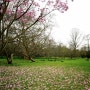 세상에서 가장 오래된 식물원 - 큐가든 Kew Garden