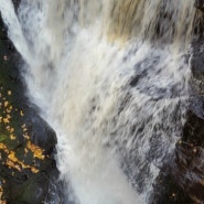 [뉴욕근교] 펜실베니아 부시킬 pennsylvania bushkill falls