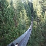 [캐나다 밴쿠버 여행] 카필라노 서스펜션 브릿지 Capilano Suspension Bridge _푸드스타일리스트 이정은