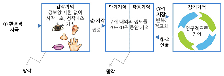 인지과정-기억 : 네이버 블로그