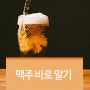 맥주, 바로 알고 즐겨요~!