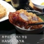 후쿠오카 돈까스 맛집 HAMADAYA 시즈카점