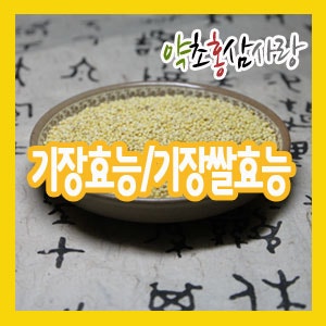 몸에좋은곡물- 기장쌀(기장쌀효능/기장효능) : 네이버 블로그