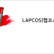 [바니의 뷰티랜드] LAPCOS(랩코스) 디즈니 드로잉 립스틱 체험단 모집