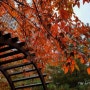 울긋 불긋 가을풍경 사진