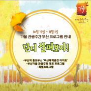 2015년 10월 19일 ~ 11월 1일 가을 관광주간 프로그램 단디 살펴보잡~!!