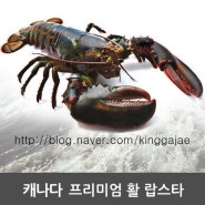 10월 4째주 랍스타 가격이에요^^