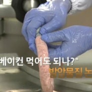 햄 소시지, 가공육 발암물질 WHO 발표 후 매출 급감