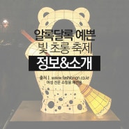 국내 여행 :: 서울 빛 초롱 축제