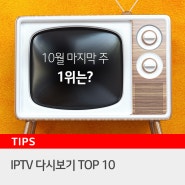 IPTV 다시보기 TOP 10_ 10월 마지막 주 시청률 최강의 프로그램은?