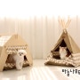 강아지집,고양이집[바늘나무두그루&더펫플-다락]뉴-패턴