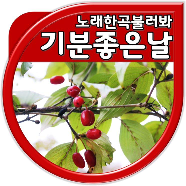 노래방 분위기 띄우는 노래 : 네이버 블로그 노래방 분위기 띄우는 노래 : 네이버 블로그