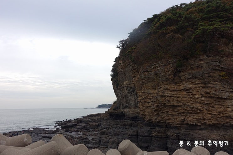 (변산반도여행) 격포 채석강 - 외변산의 명소. (2015년11월1일) : 네이버 블로그