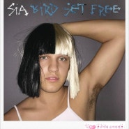 Sia ~ Bird Set Free [Live 영상,듣기,가사] [싱글 :Bird Set Free]