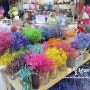 [부산 중앙시장] 중앙시장 도매 꽃시장 다녀왔어요 :)