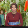 kbs 6시내고향 (2015.11.10) 일대마을 명품 무농약 고춧가루 보셨죠 !!!!