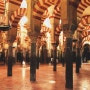 [코르도바] 메스키타 <Mezquita>