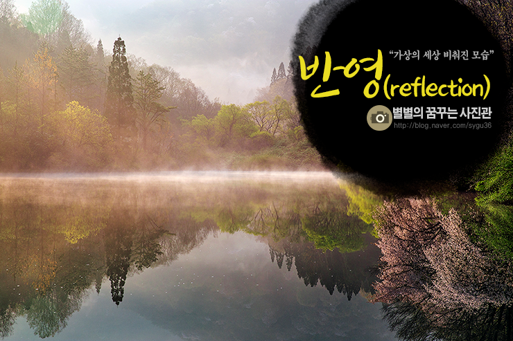 [반영 사진] 가상의 세상 비춰진 모습/반영 사진 찍는 법 : 네이버 블로그