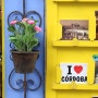 Cordoba-City of flowers
