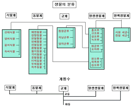 생물의 분류 : 네이버 블로그