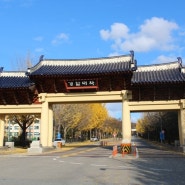 [가을 물든 경찰대학교] 용인 언남동에서의 마지막 가을