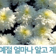 장례식장 조문 예절 모르면낭패보는것들:)