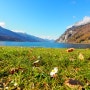 구글맵에서 콕 찝어 떠나는 여행, 스위스 바렌제 호수로 향하다