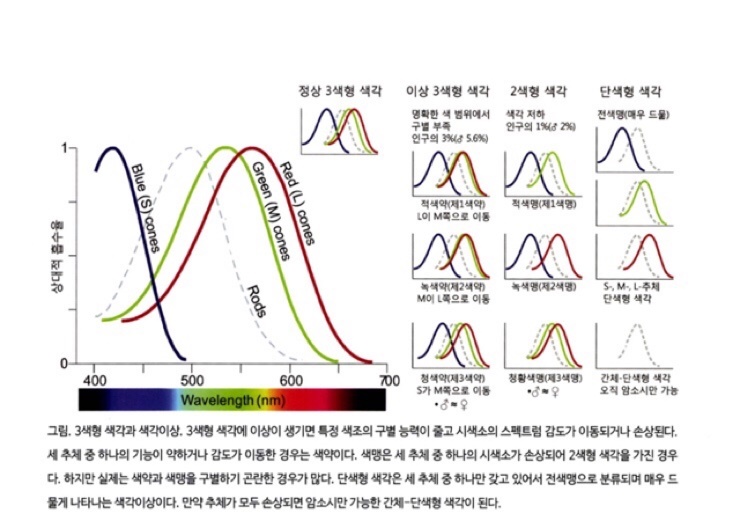 색각이상 defective colour vision 색맹, 색약 : 네이버 블로그