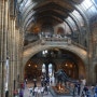 자연사박물관(Natural History Museum)_런던_영국