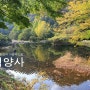 [전라남도/장성]만산홍엽의 가을속으로 "백양사"