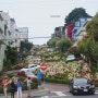 [미국서부여행/샌프란시스코] 롬바드 스트리트, 운전 고수도 쩔쩔매는 세상에서 제일 구불구불한 거리