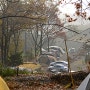 화려한 가을빛 속에서 보낸 여유로운 캠핑, 강화 뮤즈 캠핑장