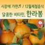 [광명전통시장/12월제철음식] 달콤한 비타민, 한라봉
