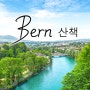 [스위스/베른 여행] 베른 아레강 아침산책 풍경 - 베른 여행 코스 추천