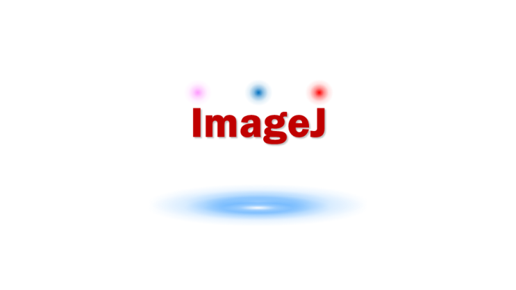 [ImageJ] ROI Manager : 네이버 블로그
