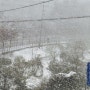 [해담은동물병원] 눈이 엄청 온 어제예요^^