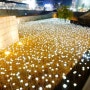 서울 데이트 코스 동대문 LED 장미 정원