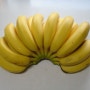 프리바이오틱스 바나나 효소 만들기