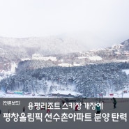용평리조트 스키장 개장에 평창올림픽 선수촌 아파트 분양 ‘탄력’