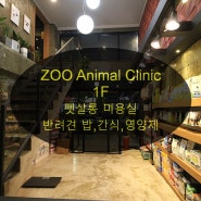 반려동물과 보호자가 같이 쉴수 있는곳 ZOO Animal Clinic 1층 둘러보기