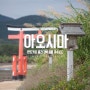 [일본큐슈여행] ③ 도깨비 빨래판으로 둘러싸인 섬, 아오시마
