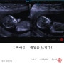 [육아] 임신 19주 +6일.. 드디어 나도 태동을...