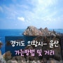 경기도 의왕시(안양)에서 울산 빨리 가는 법 및 거리