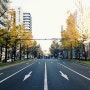 12월의 오사카 여행
