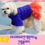 강아지 긴팔목폴라티 뜨개옷~&오뜨꾸띄르와인색원피스