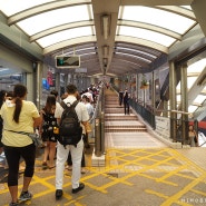 홍콩여행 2일차 - 미드레벨엘스컬레이터 그리고 타이청베이커리