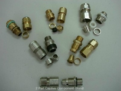 What is Captive Component Gland ( CCG ) ? : 네이버 블로그