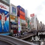 [간사이 여행] 교토, 오사카 4박5일 자유여행 프롤로그 2편 : 가볼만한 곳 (관광지, 쇼핑, 약국)