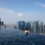 싱가폴 3박5일 자유여행 일정, 싱가폴 자유여행 3일차 일정, 마리나베이샌즈호텔 수영장