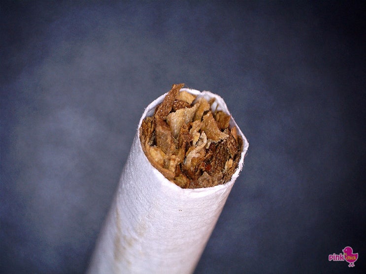 tobacco 뜻 담배와 흡연의 위험성, 새해 금연하세요 : 네이버 블로그